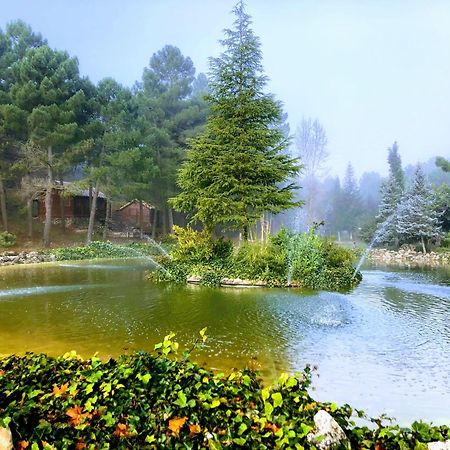 Chalet Esmeralda 3 D Y 2 Banos Zafiro Lagunazo Parque Natural Rio Mundo Riópar Dış mekan fotoğraf