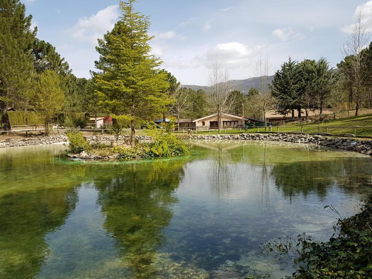 Chalet Esmeralda 3 D Y 2 Banos Zafiro Lagunazo Parque Natural Rio Mundo Riópar Dış mekan fotoğraf