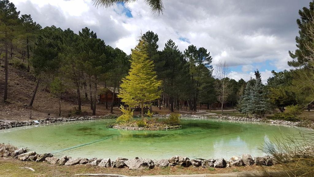 Chalet Esmeralda 3 D Y 2 Banos Zafiro Lagunazo Parque Natural Rio Mundo Riópar Dış mekan fotoğraf