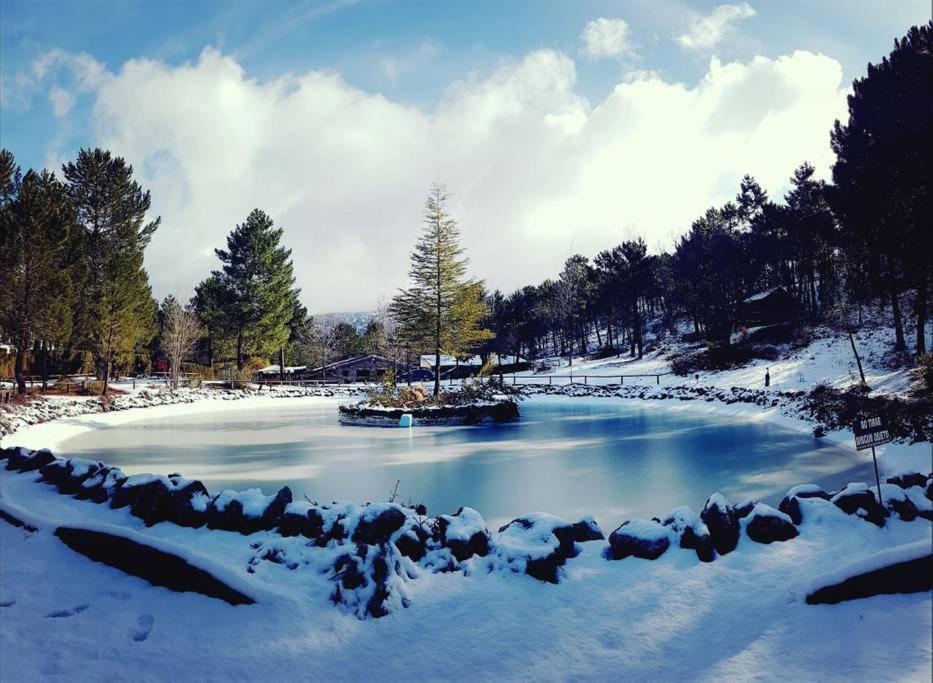 Chalet Esmeralda 3 D Y 2 Banos Zafiro Lagunazo Parque Natural Rio Mundo Riópar Dış mekan fotoğraf