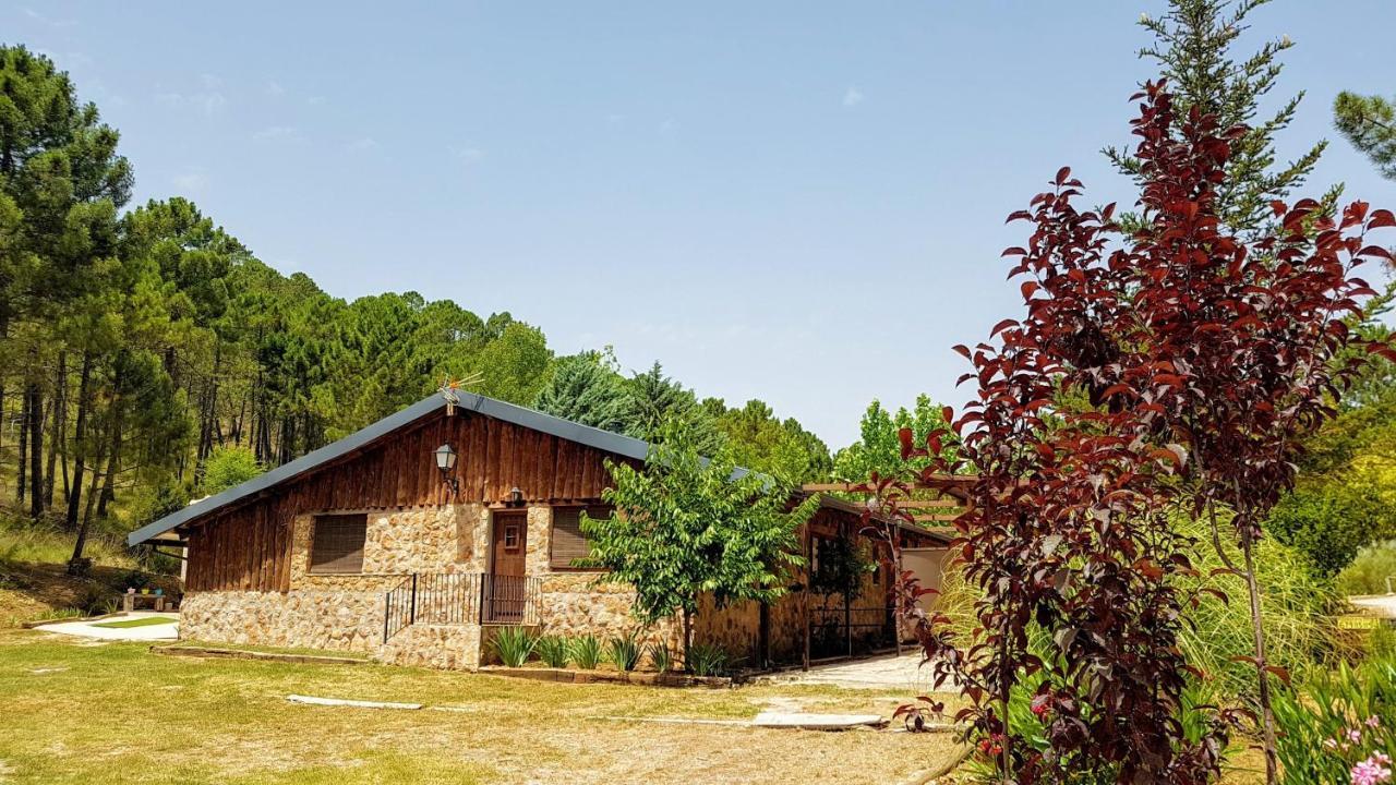Chalet Esmeralda 3 D Y 2 Banos Zafiro Lagunazo Parque Natural Rio Mundo Riópar Dış mekan fotoğraf