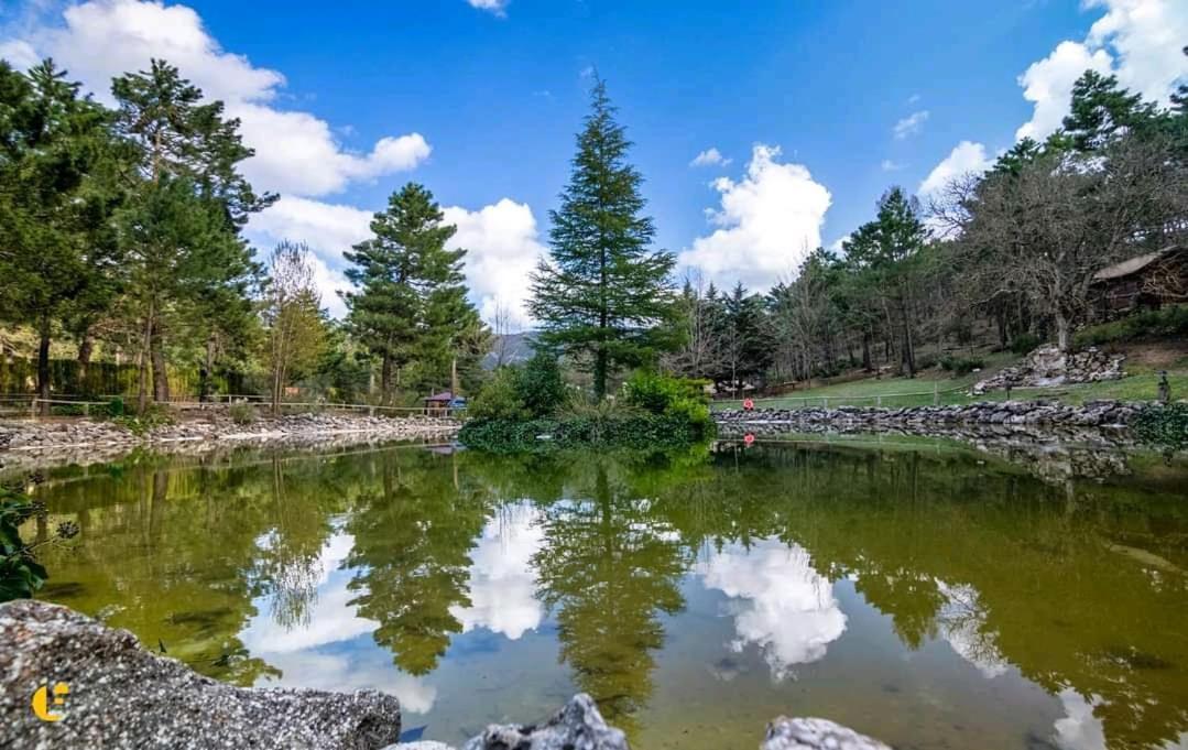 Chalet Esmeralda 3 D Y 2 Banos Zafiro Lagunazo Parque Natural Rio Mundo Riópar Dış mekan fotoğraf