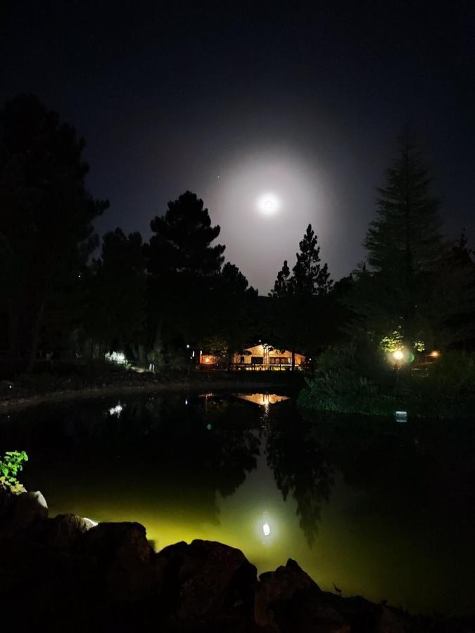 Chalet Esmeralda 3 D Y 2 Banos Zafiro Lagunazo Parque Natural Rio Mundo Riópar Dış mekan fotoğraf