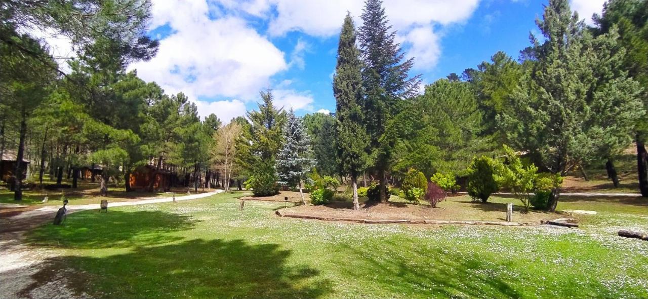 Chalet Esmeralda 3 D Y 2 Banos Zafiro Lagunazo Parque Natural Rio Mundo Riópar Dış mekan fotoğraf