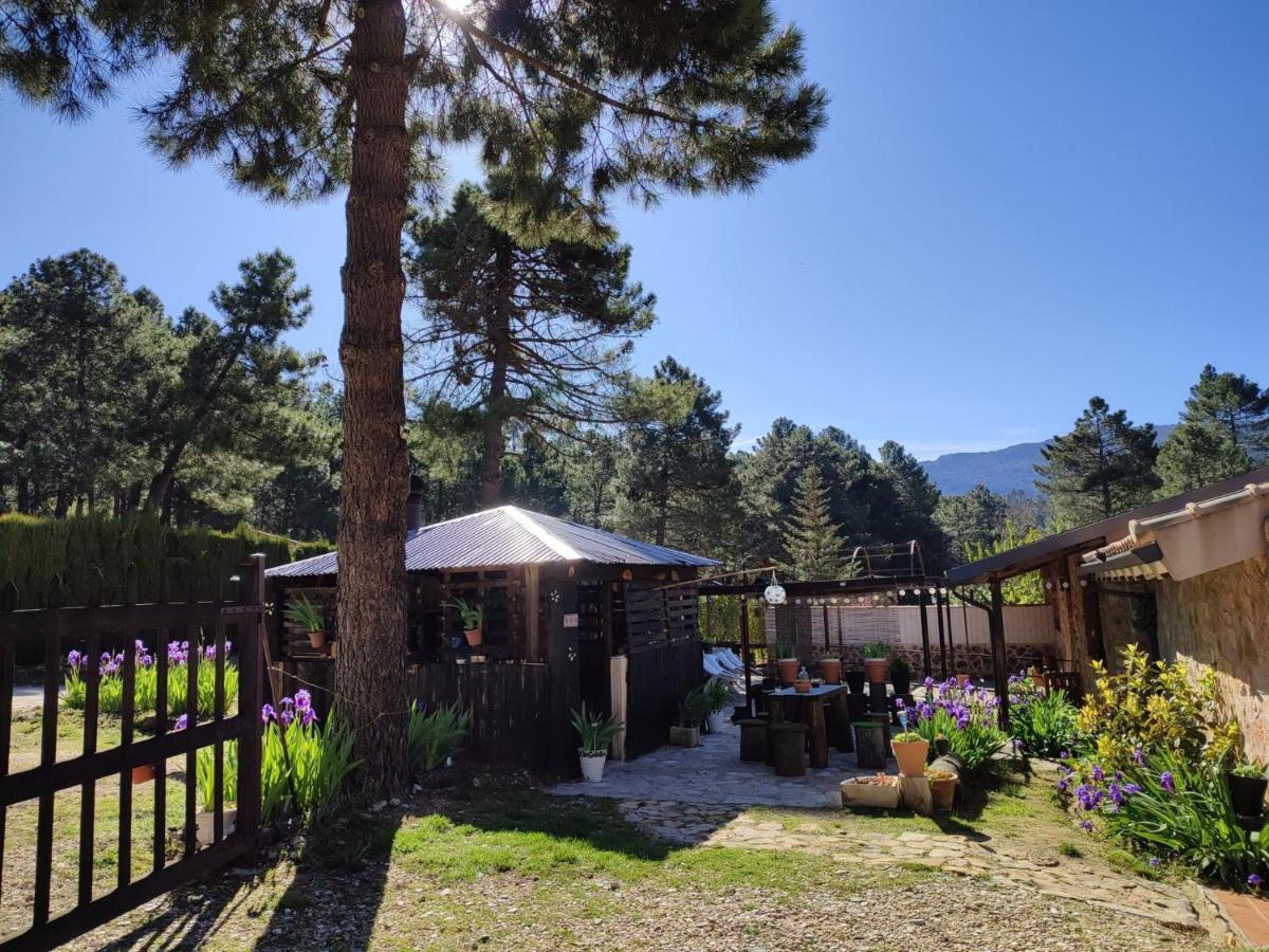 Chalet Esmeralda 3 D Y 2 Banos Zafiro Lagunazo Parque Natural Rio Mundo Riópar Dış mekan fotoğraf