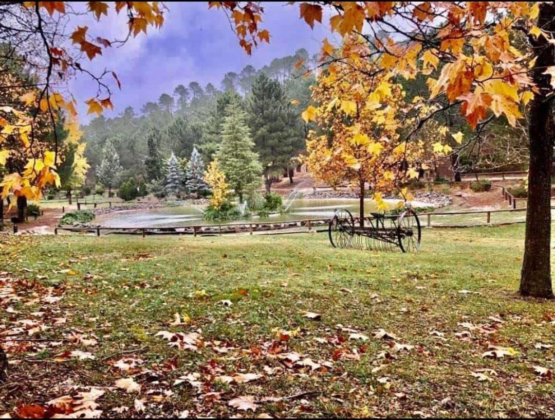 Chalet Esmeralda 3 D Y 2 Banos Zafiro Lagunazo Parque Natural Rio Mundo Riópar Dış mekan fotoğraf