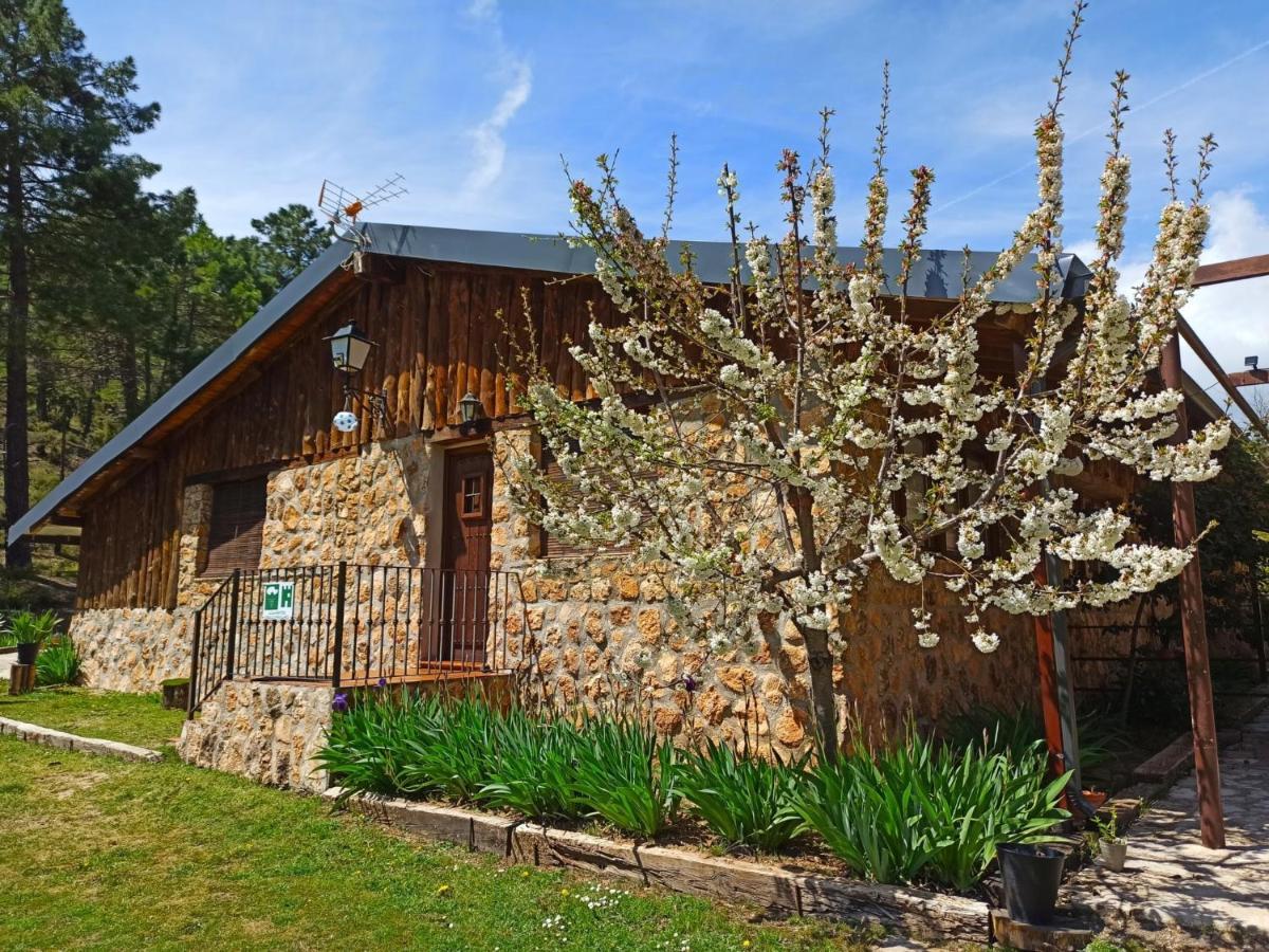 Chalet Esmeralda 3 D Y 2 Banos Zafiro Lagunazo Parque Natural Rio Mundo Riópar Dış mekan fotoğraf