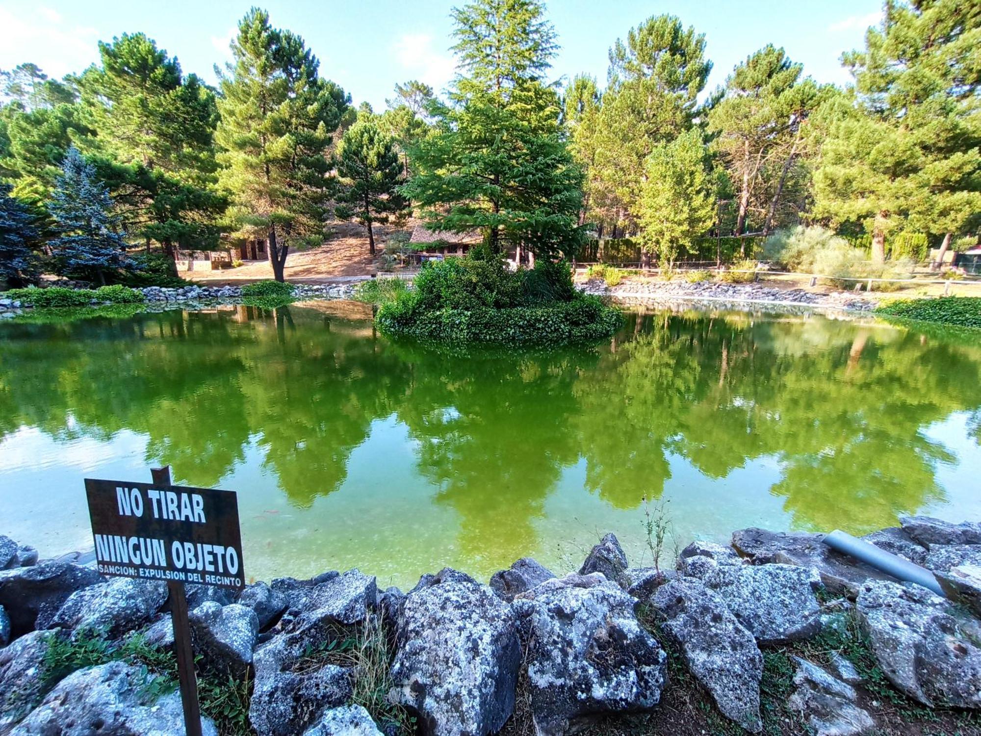 Chalet Esmeralda 3 D Y 2 Banos Zafiro Lagunazo Parque Natural Rio Mundo Riópar Dış mekan fotoğraf