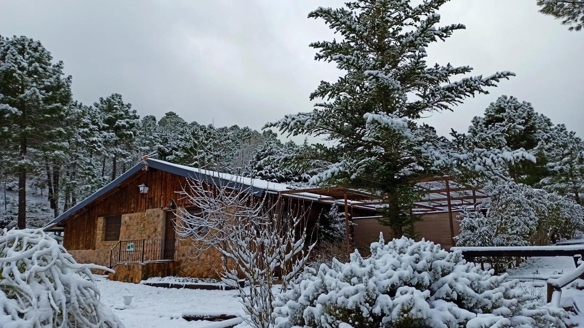 Chalet Esmeralda 3 D Y 2 Banos Zafiro Lagunazo Parque Natural Rio Mundo Riópar Dış mekan fotoğraf